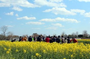 Agricultural Reconstruction Project